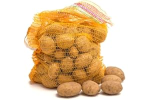 JUNG Premium Speisekartoffel Belana 25 kg im Sack, festkochend, gelbgoldene Salzkartoffel - Kartoffel aus dem Niederrhein, ideal für Kartoffelsalat, Gratin, Pommes Frites, Bratkartoffel