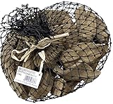 schwemmholz basteln pinterest Ideal für die maritime Dekoration