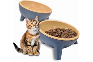 PET TRADING POST Raised Cat Bowl - Set of 2 Gift Boxed Yellow Kitten Feeding Bowls or Cat Food Bowls, Tilted Elevated Cat Feeder Set for Easy Eating & Improved Digestion
