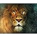 Produktbild Blxecky 5D DIY Diamant-Malerei Kit Wohnzimmer-Dekor-Wand-AufkleberLöwe(16X12inch/40X30CM)