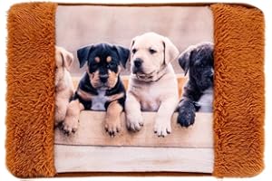 STERGAR Nataluna Borsa Acqua Calda Elettrica Cucciolo In Morbido Tessuto, Scaldamani Imbottito Con Sistema A Risparmio Energetico e Ricarica Rapida, Utile Per Riscaldarsi A Lungo E Alleviare Dolori