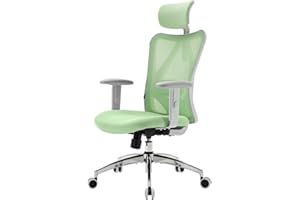 SIHOO M18 Sedia ergonomica da ufficio, sedia da scrivania con poggiatesta regolabile e supporto lombare, sedia girevole direzionale con schienale alto per l'ufficio di casa (Verde Chiaro)