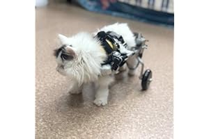 CORA PET Passeggini Rimorchio Sedia a Rotelle per la Riabilitazione delle Zampe Posteriori di Cane Gatto e Cuccioli, Carrello per Cani Anziani Feriti Disabili, Carrellino per Tutti i Cani