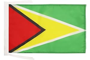 AZ FLAG - Guyana Flag - 18'' x 12'' - 100% Polyester Guyanese Small Banner with Two Cords - Fade Resistant - Vivid Colors - 18x12 in - 45x30 Cm
