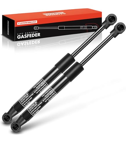 X AUTOHAUX 2 Puntoni A Gas Per Sollevamento 25 Cm - 200N/20kg, Universali Per Cofani, Finestrini Camper E Porte Armadi