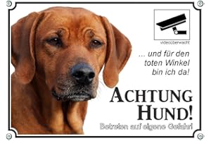 Petsigns Hundeschild Rhodesian Ridgeback RR - Videoüberwacht - uv-beständig, DIN A4