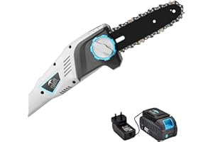 SWIFT Scies À Perche Sans Fil 40V Pour La Taille Des Arbres Et L'Élagage À Longue Portée Tondeuse À Perche Haute Performance Scie Batterie Samsung Et Chargeur Outil + 1X Batterie + 1X Chargeur