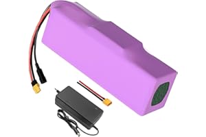 SEILYLANKA Con caricabatterie 17.5Ah 7S5P 24V batteria e-bike ebike bicicletta elettrica Li-ion personalizzabile 225x70x70mm