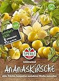 Obstsamen - Ananaskirsche Goldmurmel von Sperli-Samen