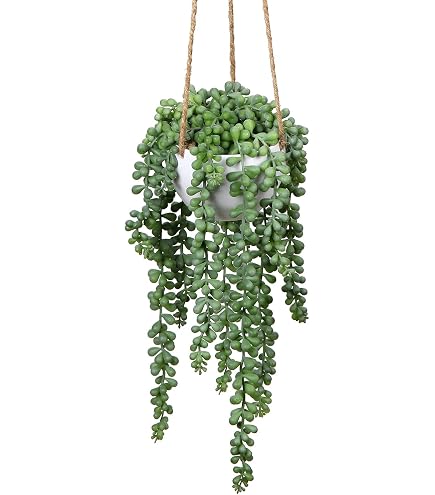 Amazon.de: Flair Flower Kunstpflanze Leuchterblume Hngende Pflanzen 1  Stck 45x18x14 cm Grn Dekorativ Kunstpflanze