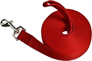 NAVOX Laisse pour Chien 5m, Longe de Dressage, Longue Laisse en Nylon pour Petites à Grandes Tailles d'animaux/Rouge
