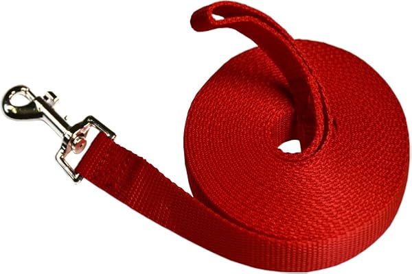 Laisse pour Chien 5m, Longe de Dressage, Longue Laisse en Nylon pour Petites à Grandes Tailles d'animaux/Rouge