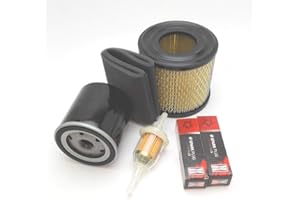 VSK Zestaw serwisowy do Briggs i Stratton Vanguard OHV 290442 290446 290447 290772