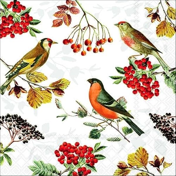 20 Servietten Herbst-Motiv Mit Hagebutten – 33x33 Cm, 3-lagig, Für Tischdeko & Serviettentechnik