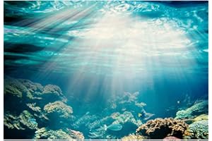 Aoihrraan 1,5x1m Monde sous Marin Toile De Fond Scène Marins Corail Récif Poissons Ensoleillement sous Marin Seaview Photographie Décoration D'Aquarium Fish Tank Fête Thème Mer Portrait Studio Photo