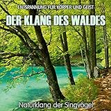 Der Klang des Waldes - Naturklang der Singvögel (ohne Musik) Entspannung für Körper und Geist by 