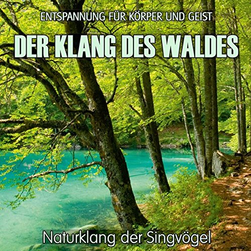 Der Klang des Waldes - Naturklang der Singvögel (ohne Musik) Entspannung für Körper und Geist