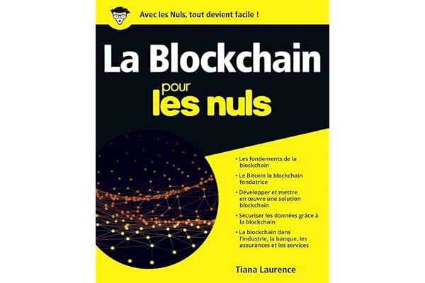 La Blockchain Pour les Nuls