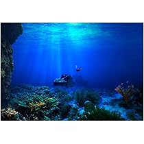 Poster Sfond O Acquario PVC - 122x61 Cm, Adesivo Statico, Design Sott'Acqua Con Coralli E Pesci, Decorazione Viva - Foto 3