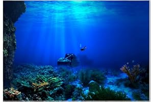 FDIT Aquarium fond HD sous-marin, récif de corail, photo pour paroi aquarium, poisson mer mural XXL, monde sous-marin, décoration murale (122 x 50 cm) 91*41cm