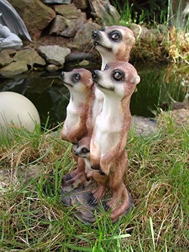 Erdmännchen Familie Figur Gartenfigur 20 cm - 3