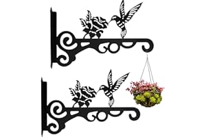 Fyeme Lot de 2 crochets muraux de 25 cm - En métal - Motif colibri - Pour suspendre des pots de fleurs - Lampes murales - Nids d'oiseaux - Lanternes - Carillons éoliens