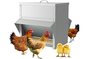 MUYIRTED Grande Comedero Gallinas 25KG Dispensador De Pienso, Comedero Gallinas Exterior De Acero Inoxidable, Accesorios para Gallinero