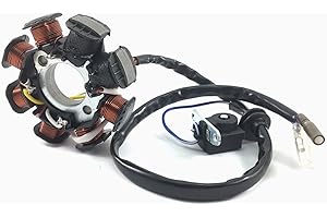 GY6-ERSATZTEILE_DE LICHTMASCHINE STATOR - 8 SPULEN für BAOTIAN 50QT BENZHOU YIYING YY50QT REX RS AGM GMX JINAN QINGQI SPEEDY JMSTAR MOTINO KREIDLER FLEX TECH BENERO ADLY SUKIDA CHINA ROLLER 50 139QMA 139QMB GY6 4-TAKT