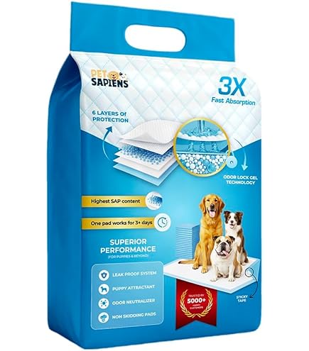 Cheap Super Absorbent Dog Pee Pad,100 Thicken Indoor Training Pads For