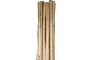 Pag Canne di bamboo ⌀ 20/22 mm Altezza 2100 mm | Tutori per Orto, Giardino e Arredo | Sostegno per Ortaggi e Piante rampicanti | 10 pezzi