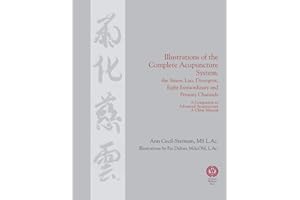 Illustrations of the Complete Acupuncture System: The Sinew, Luo, Divergent, Eight Extraordinary, Primary Channels and all their Branches