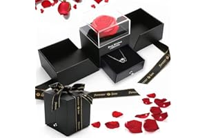 RANJIMA Boite Rose Éternelle, Cadeaux Noël Femme, Boîte-Cadeau pour Femme, Artificielle Boite la Belle et de la Bête Cadeau pour Femme Maman Amie Feurs Artificielles Romantiques Anniversaire Cadeaux