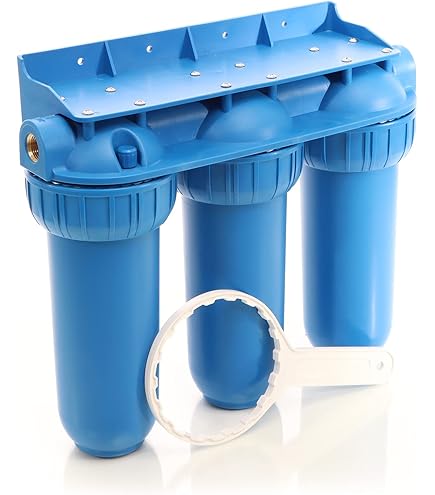 PCA 0,3mcr 600L/h 10 filtro acqua microrganismi batteri virus calce cloro