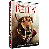 L Incroyable Voyage 2 A San Francisco Amazon Fr Robert Hays Kim Greist David R Ellis Robert Hays Kim Greist Dvd Blu Ray