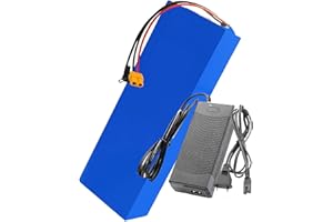 stdpcxz 48V 10/12/15/20Ah Li-Ion Battery Pack Electric con Scheda di Protezione BMS + Caricabatterie Batteria di Ricambio per 1000 W [Classe di Efficienza Energetica A] 48V15AH,XT60