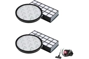 LHYNEE Filtro para Rowenta X-Trem Power RO6984EA Cyclonic Aspiradora, Accesorios de Repuesto Filtro Hepa ZR006001, Filtros de Repuesto Hepa para Rowenta X-Trem Power Cyclonic RO69xx, Kit de 2