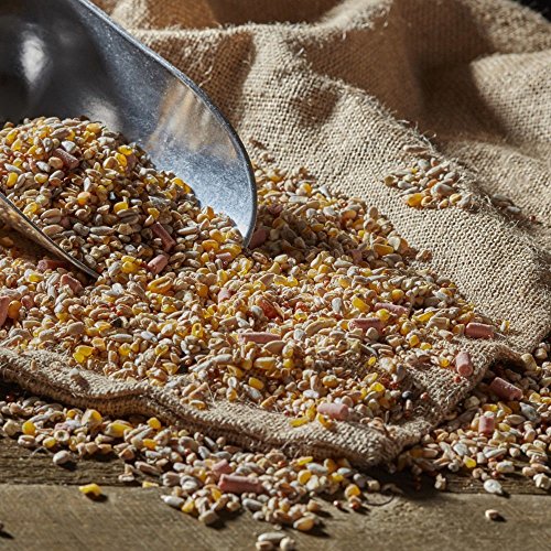 No Waste Wild Bird Seed Mix Premium Grade No Husk Hull & Grow Bird Food