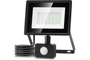 Aigostar Faretto Led da Esterno con Sensore di Movimento,30W 2510LM Faro LED Esterno,Bianco Freddo 6500K,IP65 Impermeabile Faretti LED per Giardino, Cortile,Patio,Garage