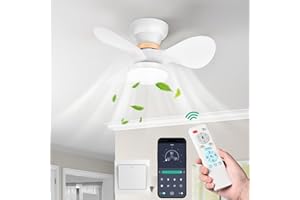 FIMEI 23.6'' Ceiling Fan with Lights, 6-Speed Reversible and Continuous Dimming, Remote Control and APP, Led Ceiling Fan Lights for Bedroom with Remote, Timer