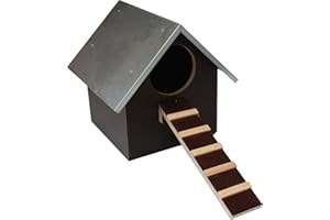 Hemel Brutplatz für Enten