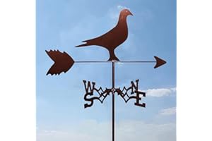 CNMJI Girouette pour abri de Jardin, girouette en Acier Inoxydable, girouette de Jardin de scène de Ferme rétro Durable, Indicateur de Direction du Vent Outils de Mesure