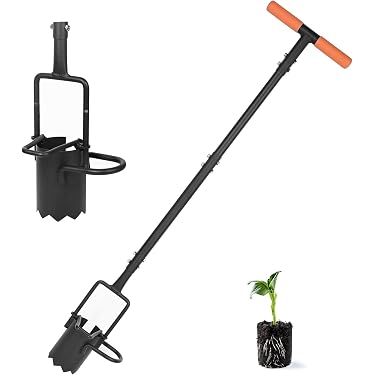 Bulbi da fiore: quando e come piantarli per un giardino fiorito | OBI Bulbi da fiore: quando e come piantarli per un giardino fiorito | OBI