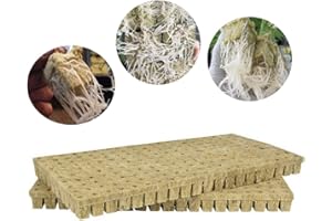 LUNAH Rockwool Lot de 50 cubes de laine de roche pour boutures, clonage, propagation des plantes, serre, base en laine de roche pour la croissance vigoureuse des plantes