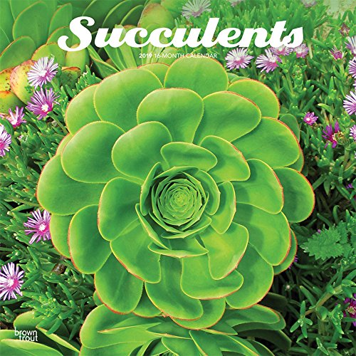 Download Succulents 2019 Calendar Download Succulents 2019 Calendar