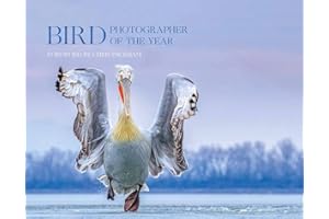 Bird Photographer of the Year: Collection 4