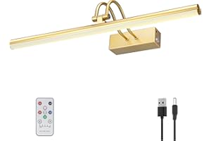 RAIFOOLLY Picture Light, 16in Battery Operated Picture Lights for Paintings,Metal Remote Control Display Art Light with Timer and Dimmable for Wall Painting,Frame, Portrait, Dartboard(Gold)