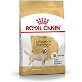 Aliment pour Chien Labrador Adult Royal Canin