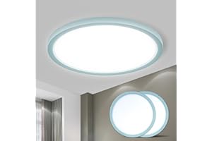 LQWELL® Plafonnier LED, Lampe de Salle de Bain Étanche IP44 Ronde Plate 18W 6000K 1600LM Lampe Simple Moderne Mince pour Salon Salle de Bain Chambre Cuisine Balcon Couloir Sous-Sol Bureau, 220 * 24mm