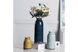 QBMYCN Juego de 3 jarrones de cerámica, jarrones de cerámica para decoración del hogar, floreros Decorativos para Hierba de Pampa y Flores secas, Mesa, estantería (Coloreado)