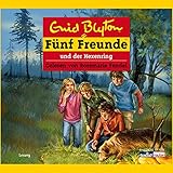 Fünf Freunde und der Hexenring: Fünf Freunde 53 by 